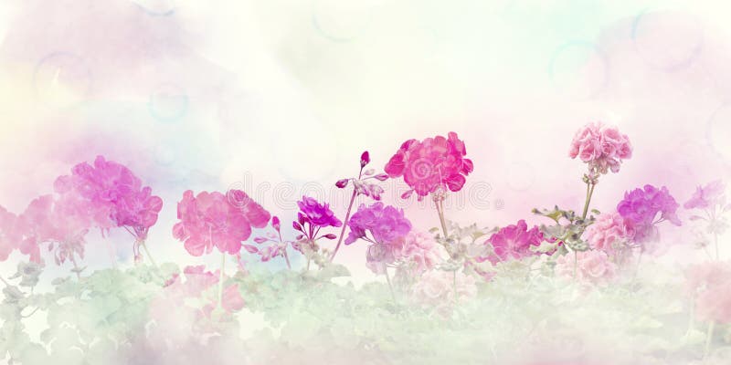 Compoziție florală de primăvară cu flori colorate pe fond pastelat ușor stock image