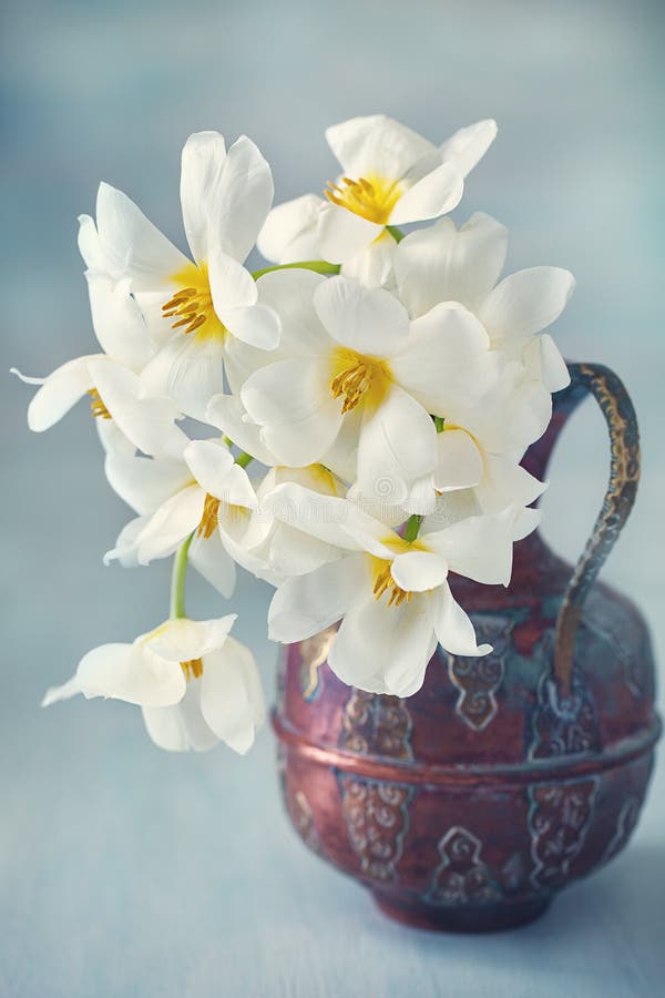 Compoziție florală de închidere cu lalele. royalty free stock photos