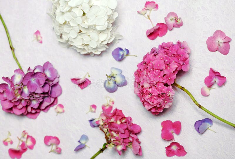 Compoziție florală frumoasă stock image