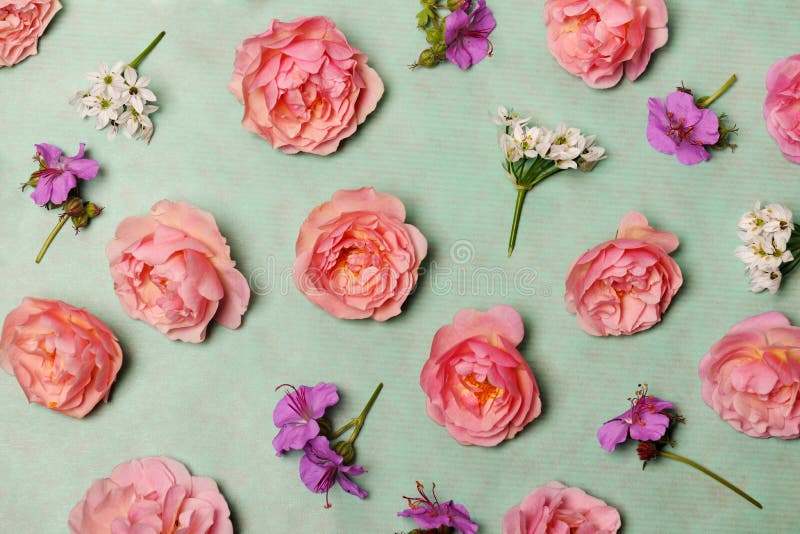 Compoziție florală frumoasă stock photo