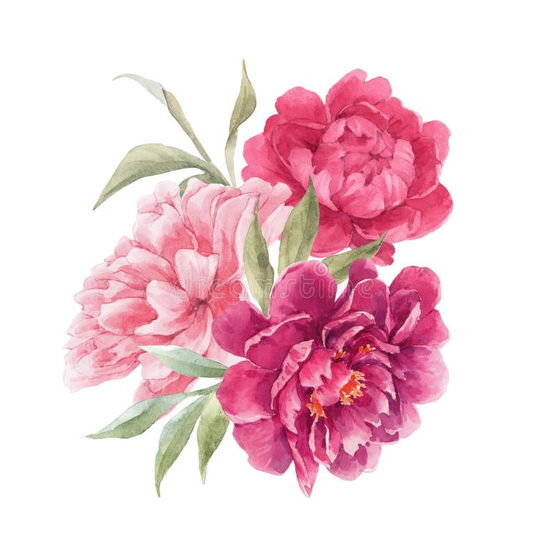 Compoziție florală superbă, cu acuarelă trasată manual, cu aromă de flori roz, blândă, roz,. gestionare stoc. stock image