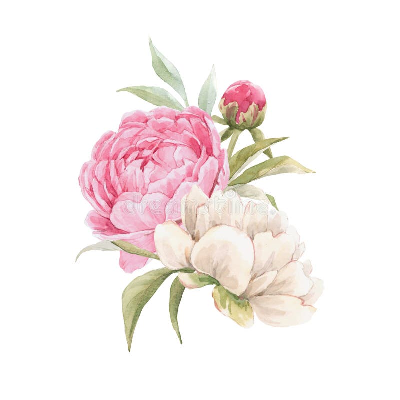 Compoziție florală superbă, cu acuarelă trasată manual, cu aromă de flori roz, blândă, roz,. gestionare stoc. stock photography