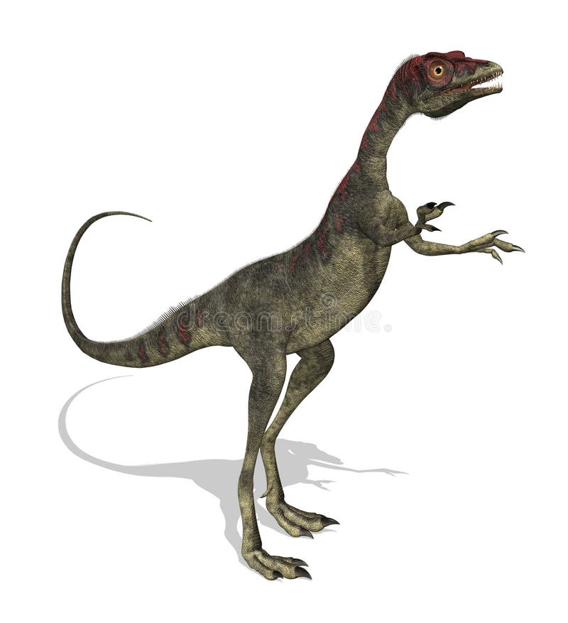 3D render of a compsognathus dinosaur. This dinosaur was the size of a turkey, and lived during the late Jurassic period.