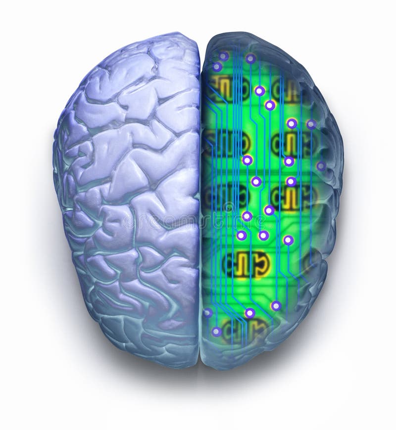 Cerebro desplegado computadora placa de circuito impreso adentro sobre el blanco.