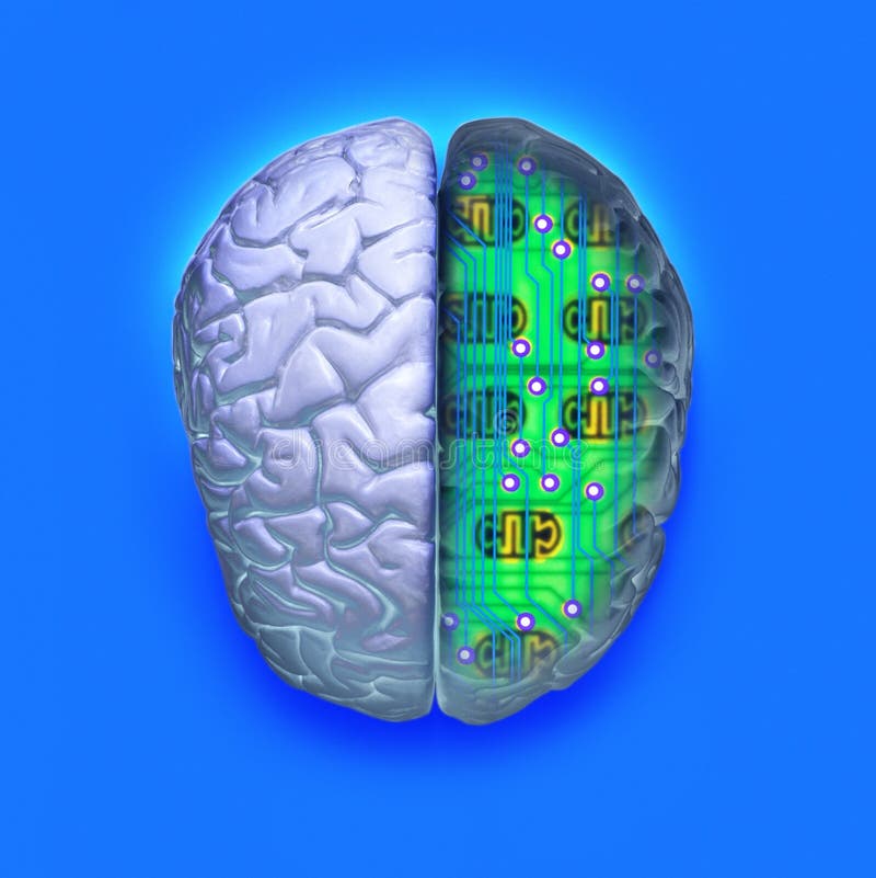 Computer Brain Circuit Technology royalty free illustration Computer Brain Circuit Technology royalty free illustration