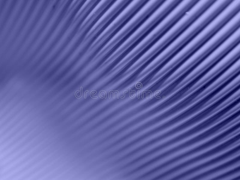 Computer Cable Background 3 stock photo Computer Cable Background 3 stock photo