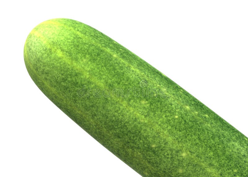Partial view of a green cucumber at the tip head against a white backdrop. A computer generated illustration image of the partial view of a green cucumber at the royalty free illustration Partial view of a green cucumber at the tip head against a white backdrop. A computer generated illustration image of the partial view of a green cucumber at the royalty free illustration