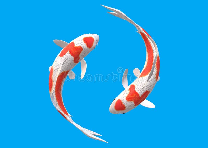 Koi Fish Top View Stock Illustrations – 364 Koi Fish Top View