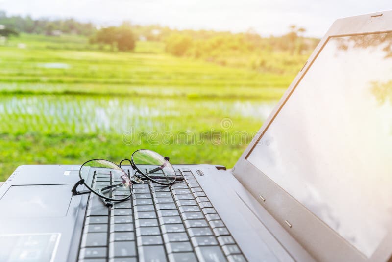 Computer laptop with glasses with rural rice field scene background for modern technology new generation farmer concept