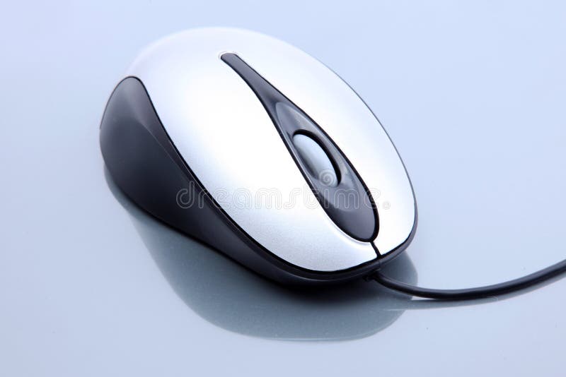 Computer Mouse