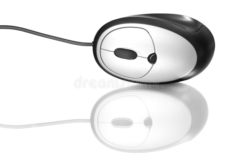 Computer Mouse with Long Cord Stock Photo Image of technology, point