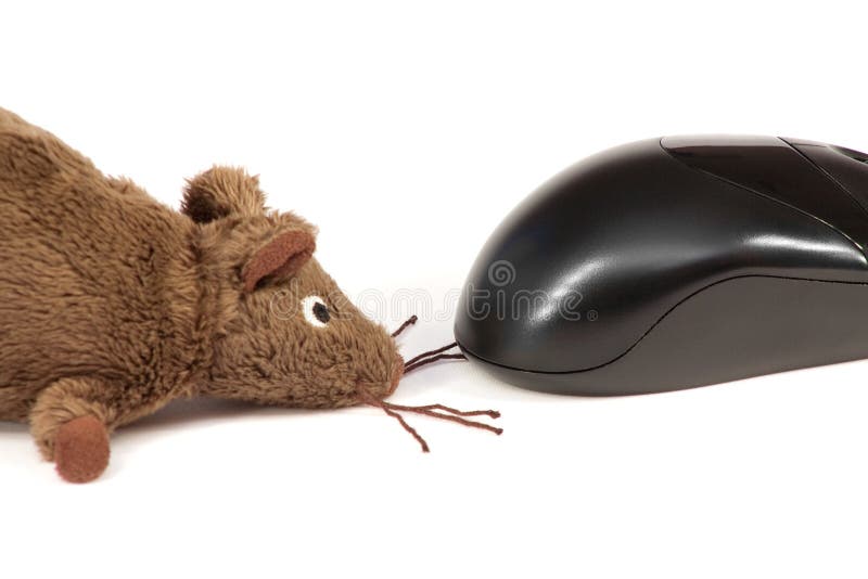 Computer Mouse and a toy