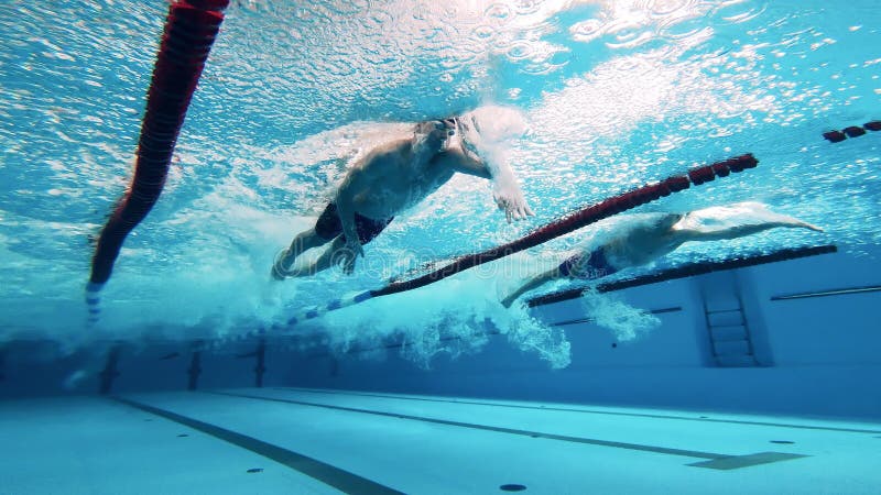 Compétition de natation en vue sous-marine banque de vidéos