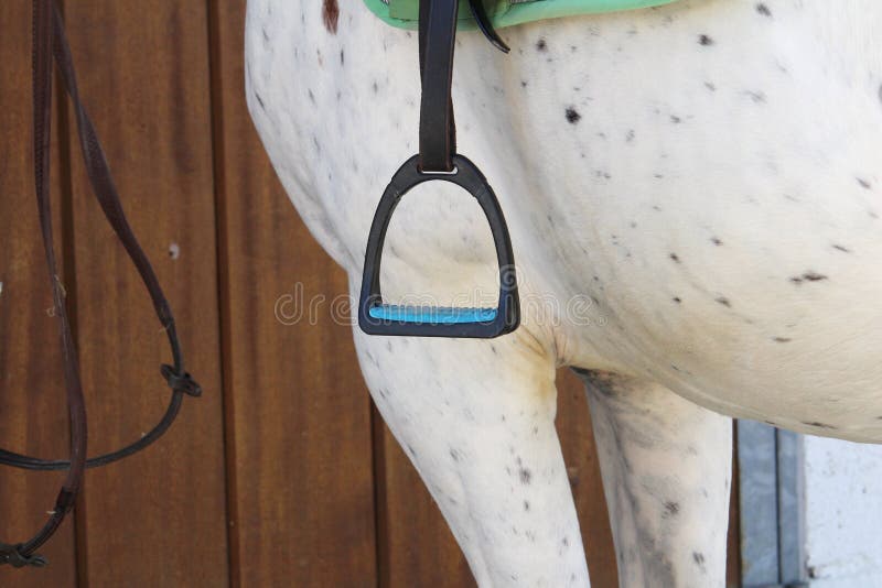 A con el estribo de la silla de montar del caballo que está listo para ser montado fotos de archivo A con el estribo de la silla de montar del caballo que está listo para ser montado fotos de archivo