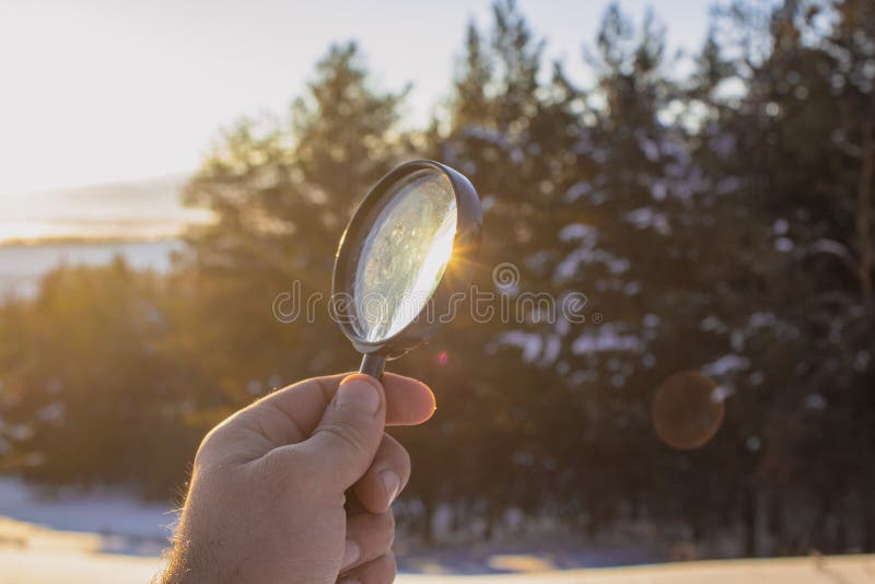Con una lupa sobre el fondo del bosque invernal.