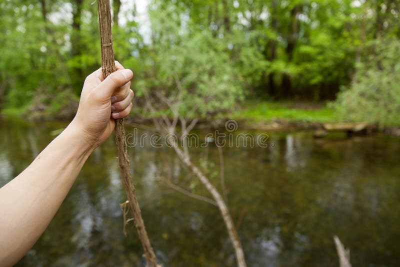 Conceito da natureza do curso da aventura fotos de stock Conceito da natureza do curso da aventura fotos de stock