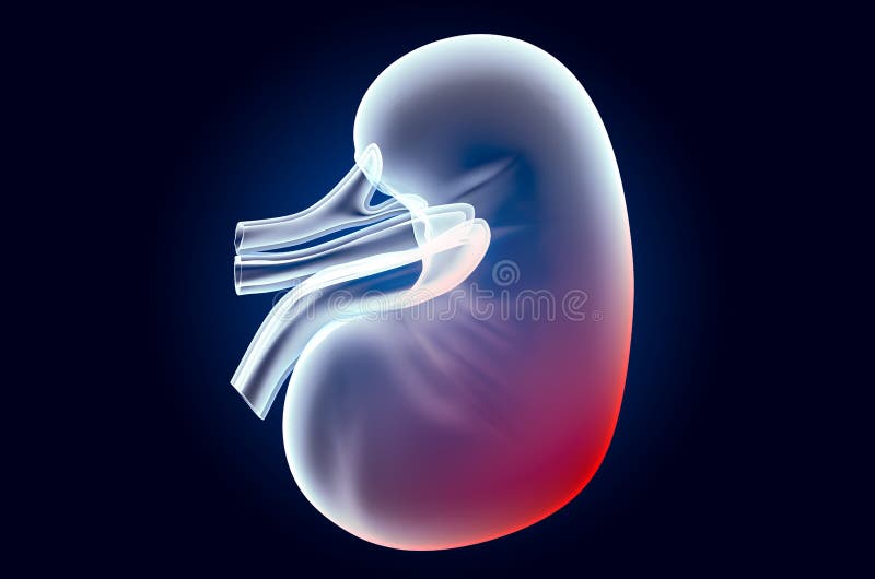 Foto de Conceito De Cirurgia De Rim 3d Renderização Isolado No