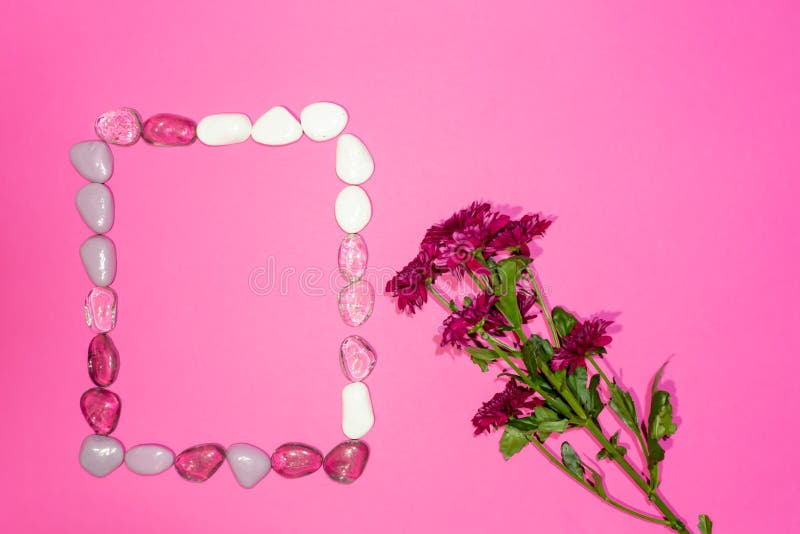 Design concept - top view frame of stone and spring flowers isolated on pink background for mockup. Design concept - top view frame of stone and spring flowers isolated on pink background for mockup