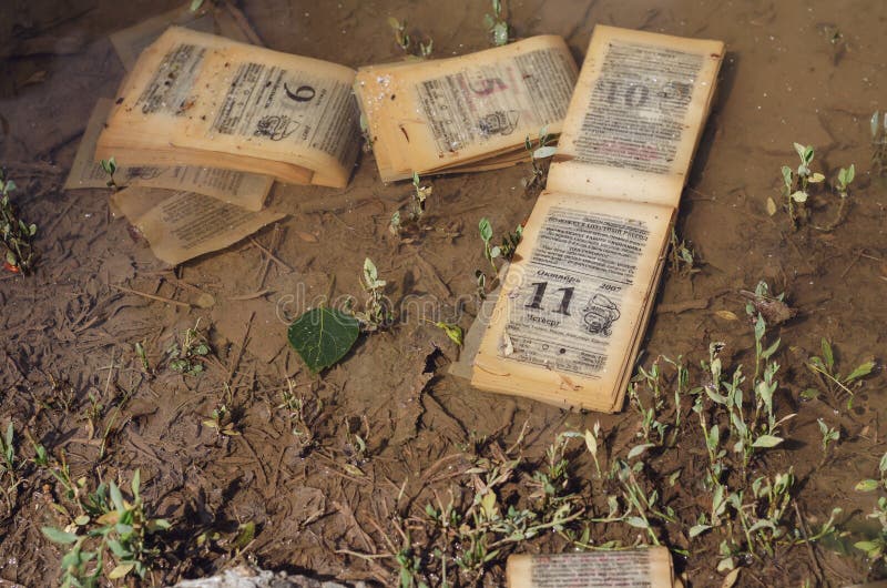 Irretrievably Lost Time Concept. Pages of an old tear-off calendar floating in a muddy puddle. Inscriptions in Russian indicate the date, month, sunrise and sunset times,  and other information. Irretrievably Lost Time Concept. Pages of an old tear-off calendar floating in a muddy puddle. Inscriptions in Russian indicate the date, month, sunrise and sunset times,  and other information