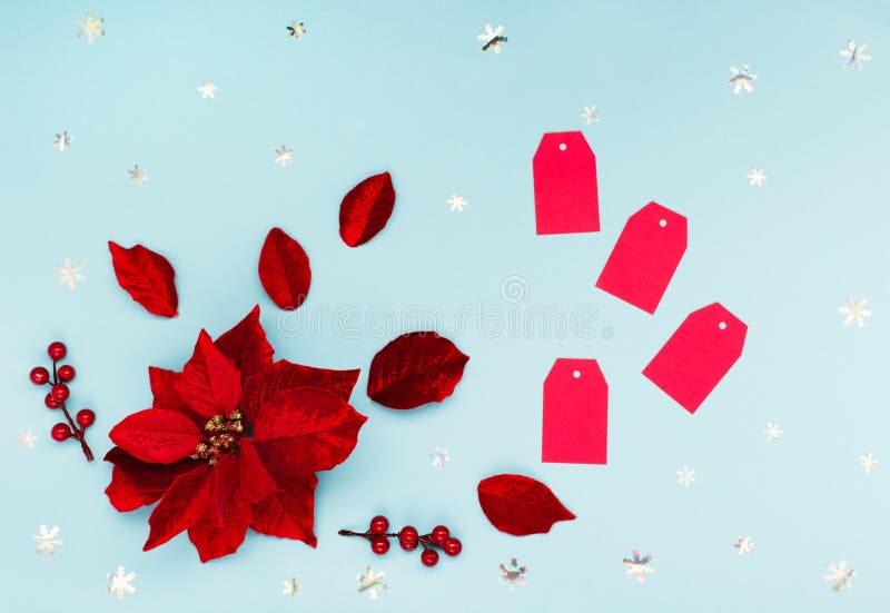 12.12 Super Sale concept - Christmas flower poinsettia, red paper tags and snowflakes on blue background.  Design for promotion of winter end of year discount. Top view, copy space. 12.12 Super Sale concept - Christmas flower poinsettia, red paper tags and snowflakes on blue background.  Design for promotion of winter end of year discount. Top view, copy space