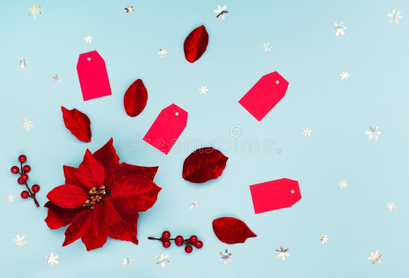 12.12 Super Sale concept - Christmas flower poinsettia, red paper tags and snowflakes on blue background.  Design for promotion of winter end of year discount. Top view, copy space. 12.12 Super Sale concept - Christmas flower poinsettia, red paper tags and snowflakes on blue background.  Design for promotion of winter end of year discount. Top view, copy space