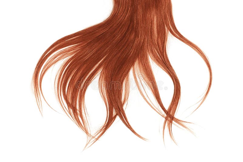 Conceito mau do dia do cabelo Por muito tempo, hena, rabo de cavalo bagunçado foto de stock Conceito mau do dia do cabelo Por muito tempo, hena, rabo de cavalo bagunçado foto de stock