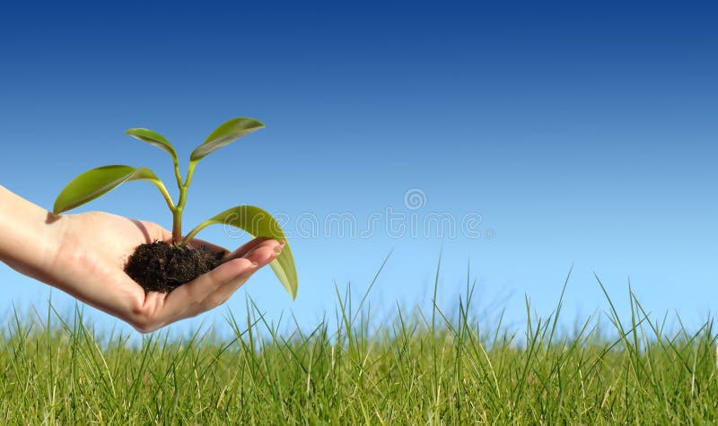 Conceito novo da vida imagem de stock royalty free Conceito novo da vida imagem de stock royalty free