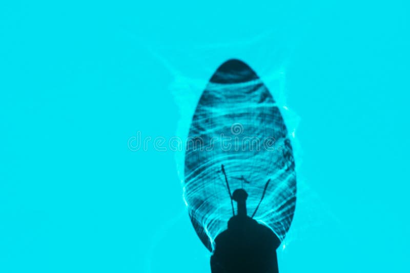 Conceito renovável da sustentabilidade das fontes da energia azul Lâmpada do bulbo com luzes da descarga elétrica do calefator do fotografia de stock Conceito renovável da sustentabilidade das fontes da energia azul Lâmpada do bulbo com luzes da descarga elétrica do calefator do fotografia de stock