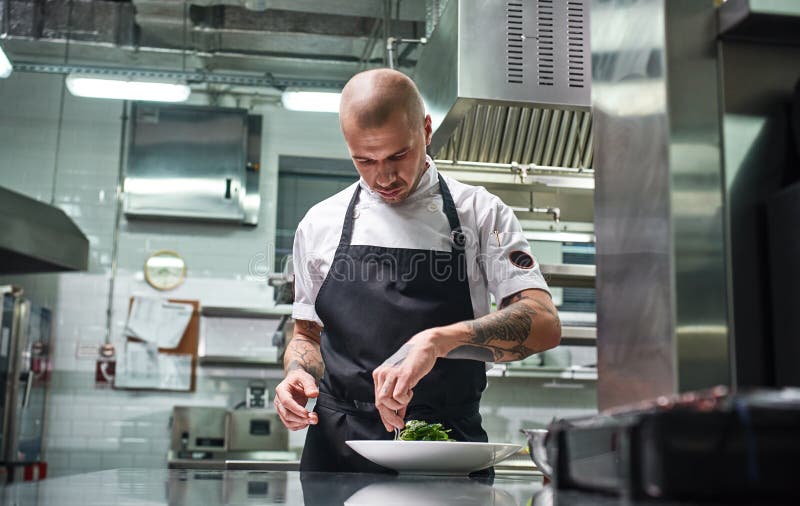 Concentrado en el trabajo Retrato del cocinero profesional hermoso en delantal negro que adorna su plato en el rato de la placa imagen de archivo libre de regalías Concentrado en el trabajo Retrato del cocinero profesional hermoso en delantal negro que adorna su plato en el rato de la placa imagen de archivo libre de regalías