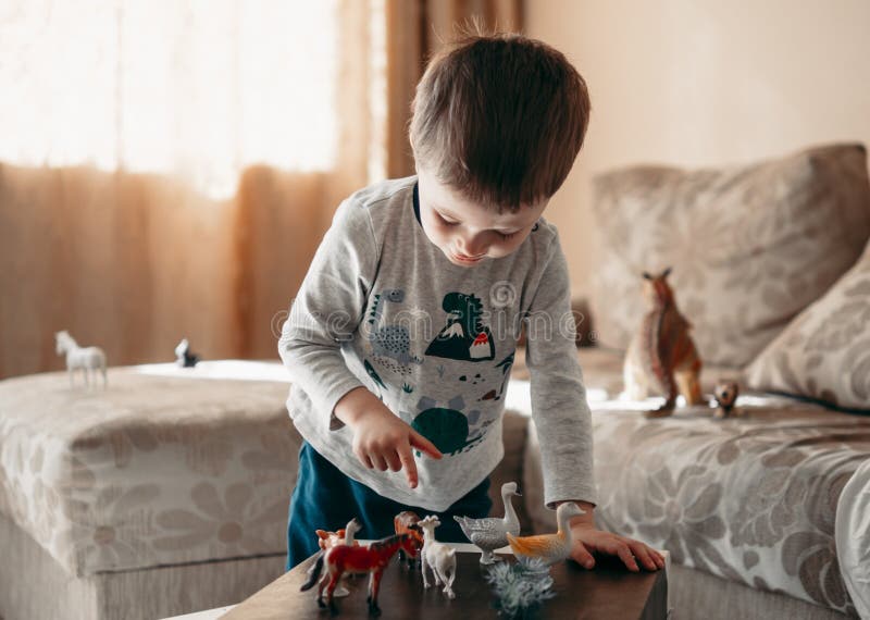 Concentrated 4 Years Old Little Boy Playing with Animal Toys in Sunny Room.  Childhood and Kids Concept Stock Image - Image of people, building:  173863897
