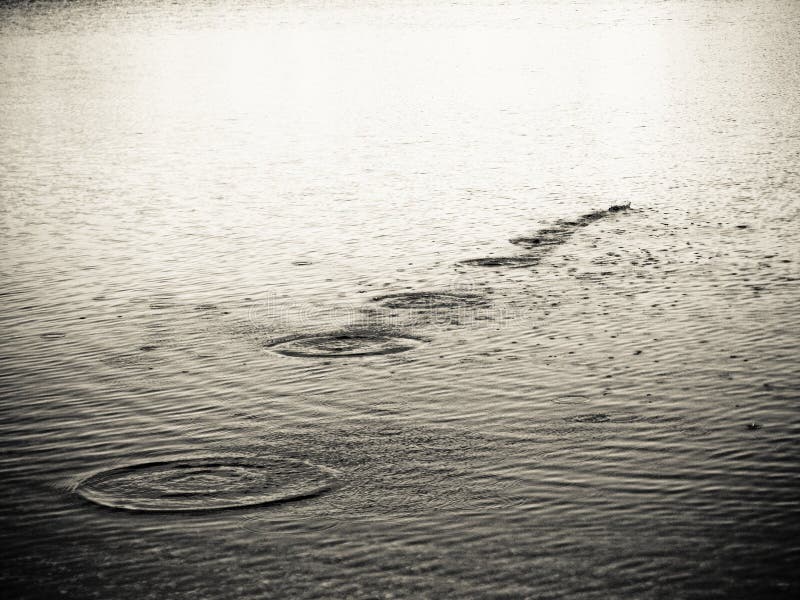 Concentric circles stock photography