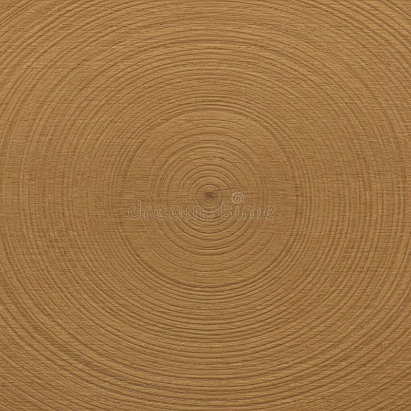 Concentric circles in a wood grain texture create a mesmerizing pattern reminiscent royalty free illustration