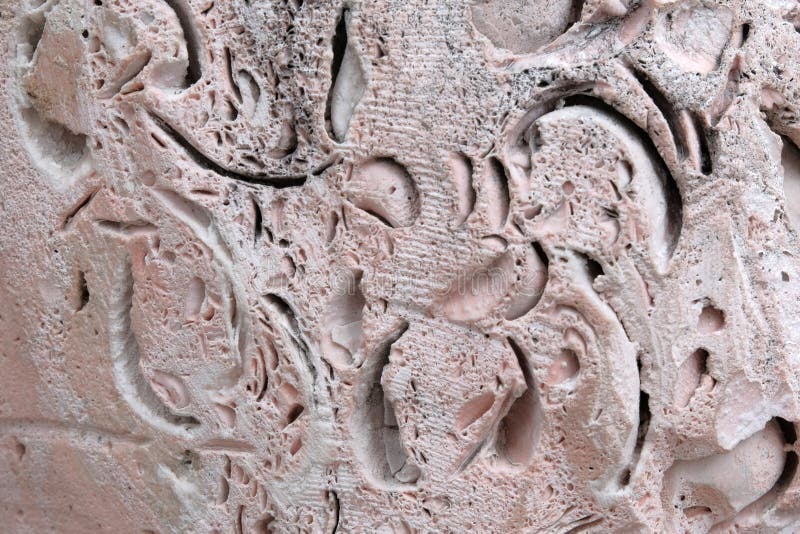 The Texture of the Stone Coquina is Pink. Natural Background ...
