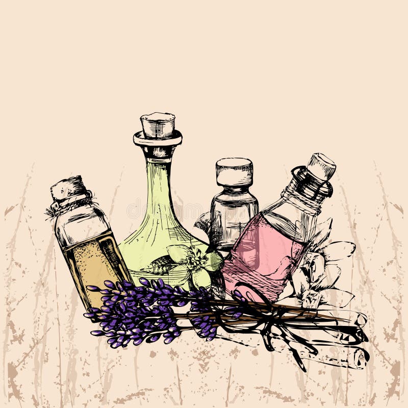 Best Essential Oil Bottle Sketch Royalty-Free Images, Stock Photos &  Pictures