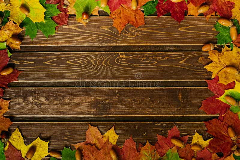 The Concept of Autumn Wallpaper. Dried Maple Leaves and Acorns Lined