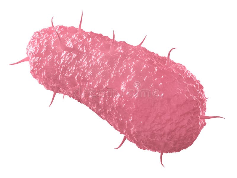 Concept biologic. diviziunea celulară la microscop izolat pe un alb stock illustration
