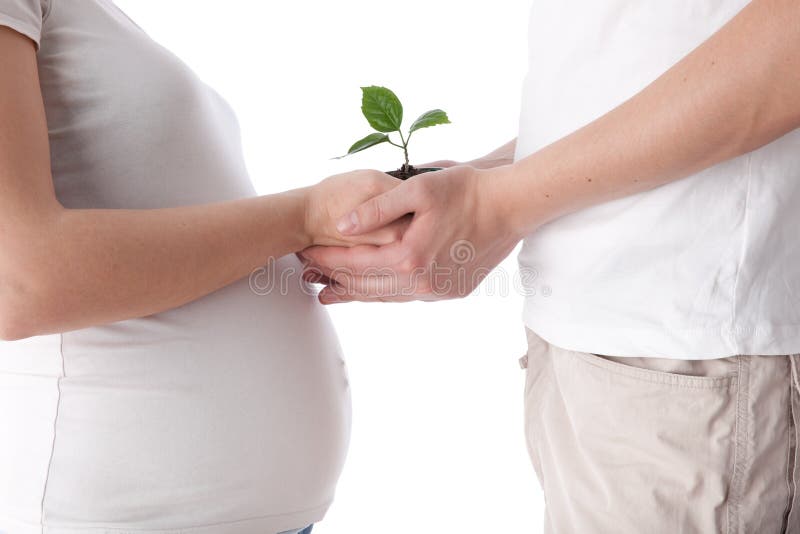 Felice incinta famiglia con verde indifesi spuntano su uno sfondo bianco.