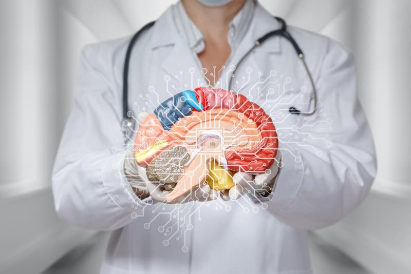 Concept of brain function research using artificial intelligence royalty free stock photos