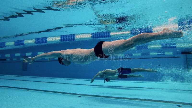 Concept d'activité sportive détermination entraînement mode de vie sain. les athlètes plongent dans la piscine et commencent à nag banque de vidéos