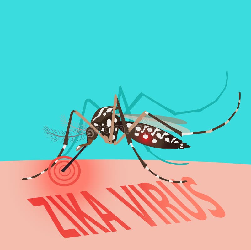 Concept d'alerte de manifestation de virus de Zika Sang de aspiration de moustique illustration stock Concept d'alerte de manifestation de virus de Zika Sang de aspiration de moustique illustration stock
