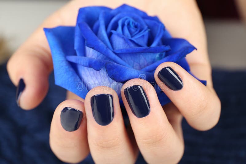 Concept d'art de clou Belle main femelle tenant la rose de bleu photo stock Concept d'art de clou Belle main femelle tenant la rose de bleu photo stock