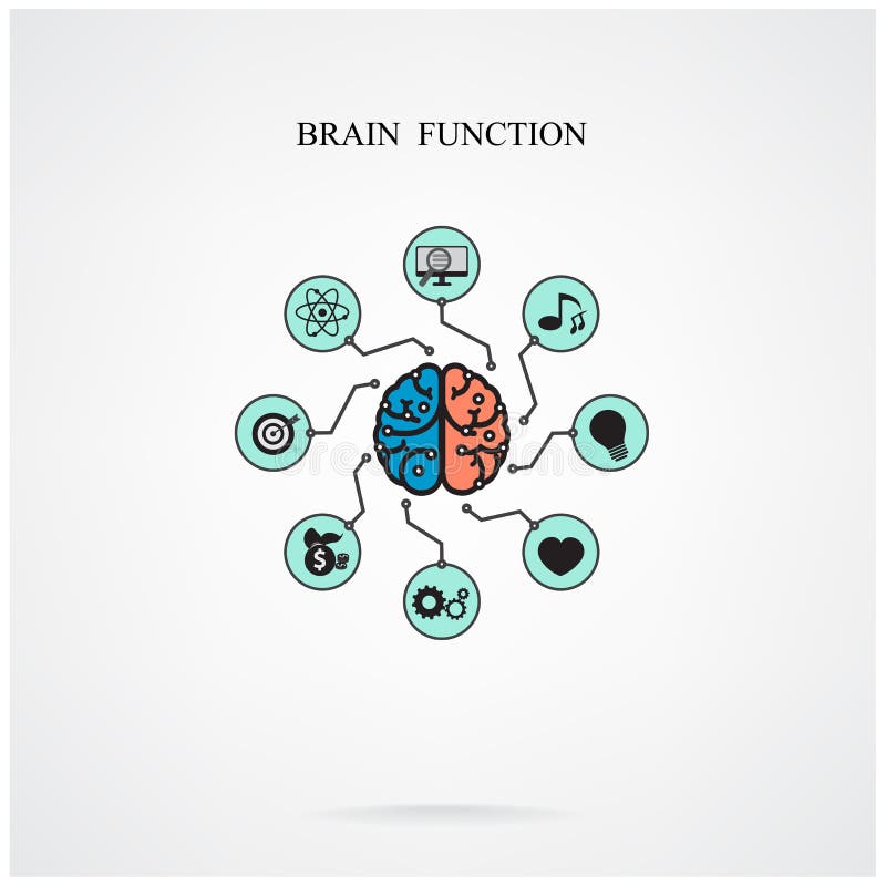 Concept de fonction de cerveau pour l'éducation et la science, affaires SI