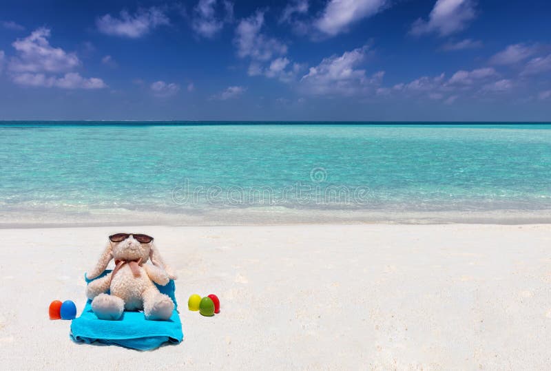 Concept de iepure de Paște pe o plajă tropicală stock photos