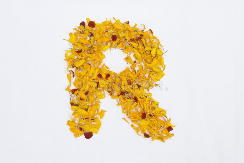 souci 4 lettres