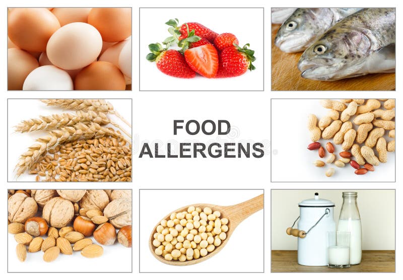 Concept de nourriture d'allergie image stock Concept de nourriture d'allergie image stock