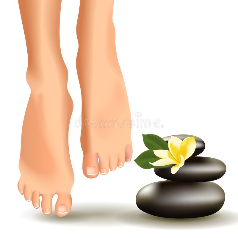 Concept de STATION THERMALE avec les pieds, le frangipani et les pierres femelles réalistes Illustration de vecteur illustration de vecteur Concept de STATION THERMALE avec les pieds, le frangipani et les pierres femelles réalistes Illustration de vecteur illustration de vecteur