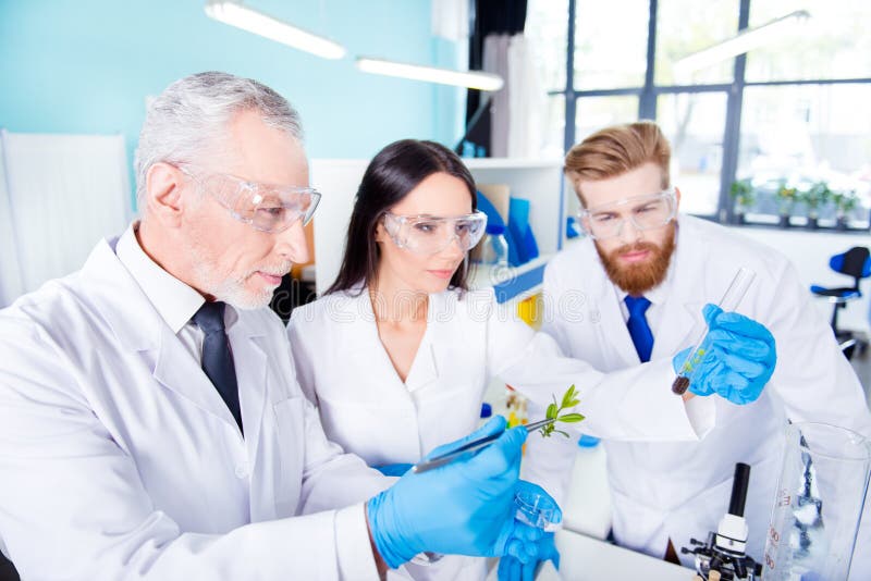 Concept de travail d'équipe Trois travailleurs de laboratoire sont ckecking photo libre de droits Concept de travail d'équipe Trois travailleurs de laboratoire sont ckecking photo libre de droits