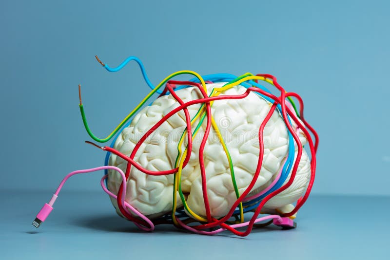 Human Brain Wiring Stock Photos Free & RoyaltyFree Stock Photos from