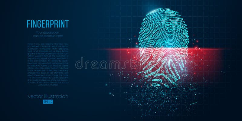 Concept of digital security, electronic fingerprint on scanning screen. Low poly wire outline geometric vector vector illustration Concept of digital security, electronic fingerprint on scanning screen. Low poly wire outline geometric vector vector illustration