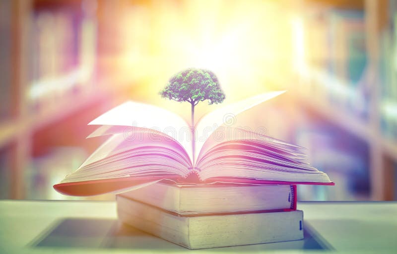 The Concept Of Education By Planting A Tree Of Knowledge In The Opening Of  An Old Book In The Library And The Magical Magic Of Light That Flies To The  Destination Of